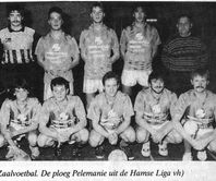 1989-1990 ZVC Pelemanie